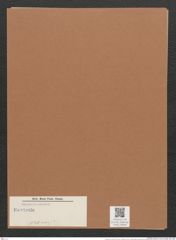 Navicula sp. (de-Toni-Nr.: Genus 1, Species 120 var. ?) Zeichnungen Sammlung Grunow Mappe 00646 (Herbarium_W_Grunow_drawings_Folder_00646)